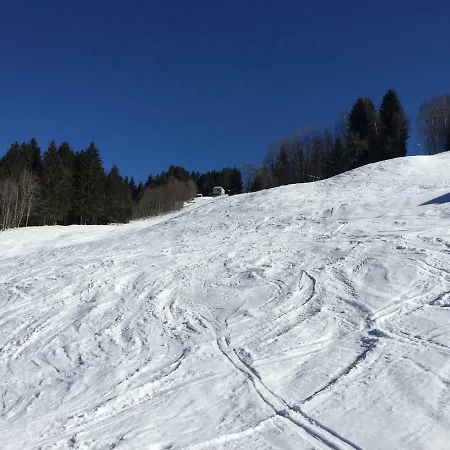 Berg & Skihuette -schmittenhof بيت للعطل